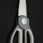 Multipurpose Stainless Steel Scissors